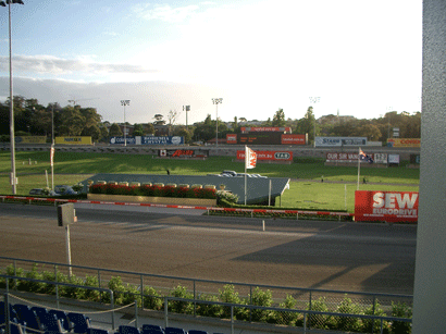 Harold Park Paceway