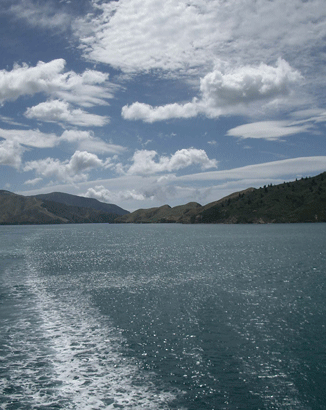 Marlborough Sound, New Zealand