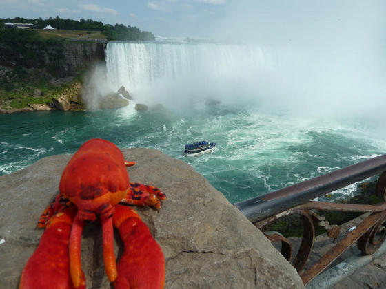 Niagara Falls (from the Canadian side)