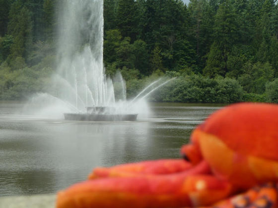 Fountain at the Lost Lagoon, Stanley Park, Vancouver