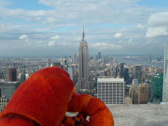 Admiring the Empire State Building from the 'Top of the Rock', New York