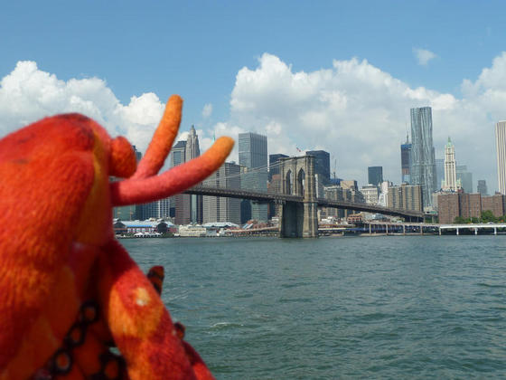 Taking a look at the Brooklyn Bridge