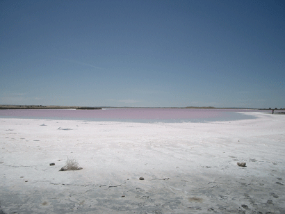 Pink Lake