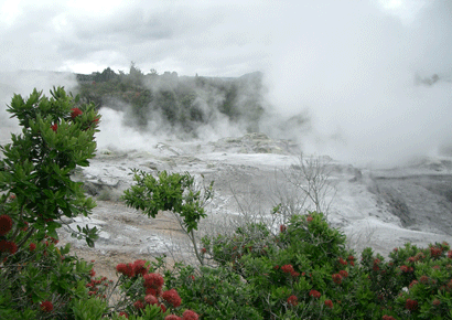 Rotorua