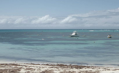 Seaview at Rottness Island