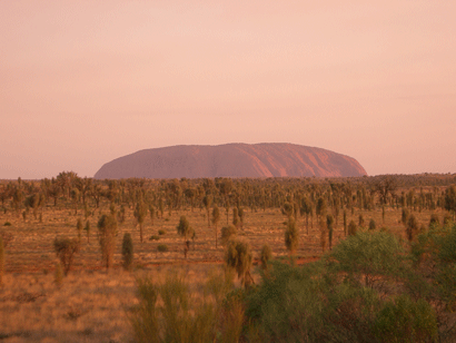 Uluru - view at sunset