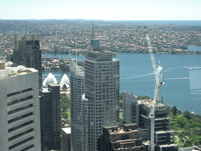 View from Sydney Tower