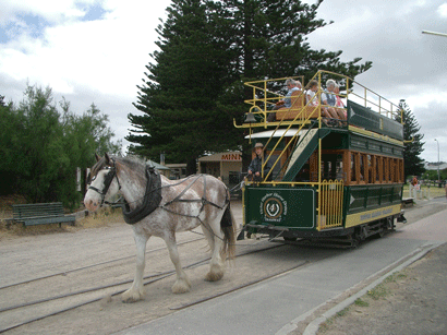 Horse-Drawn Tram at Victor Harbor