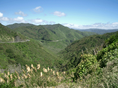 View at the Summit on the Upper Hutt to Featherston road