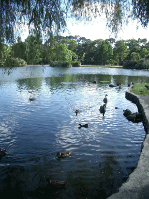 Western Springs Lake