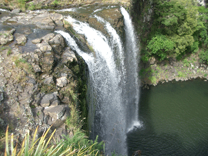 Whangarei Falls