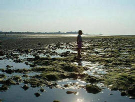 Worthing Beach
