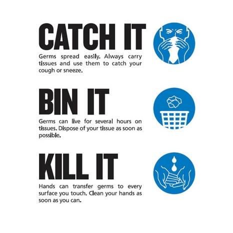 Catch it bin it kill it poster campaign