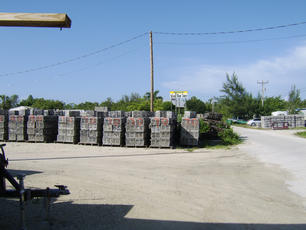 Stone Crab Traps in Everglades City