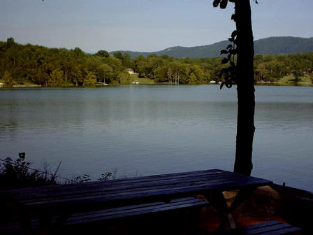 Norris Lake view