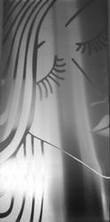 A design polished onto the surface of a stainless steel panel