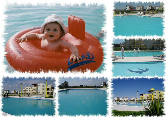 Rose Garden Villas Pools