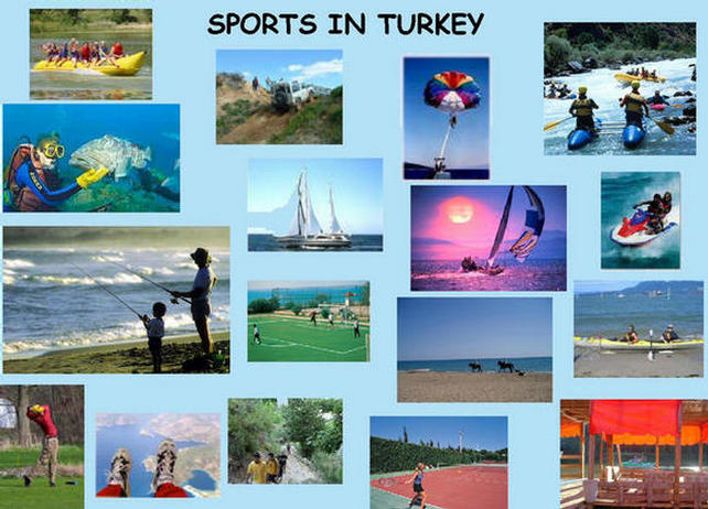 SPORTS