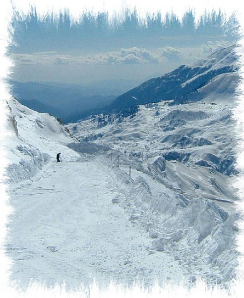ski