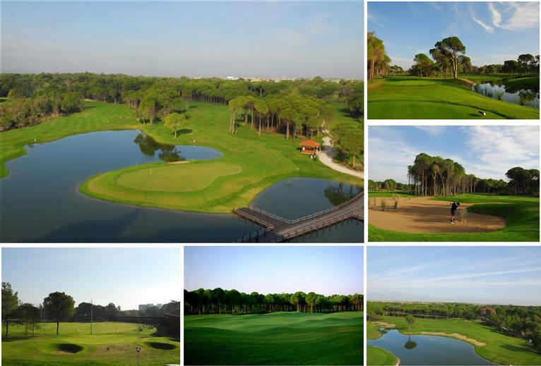 Sueno_Pines and Dunes
