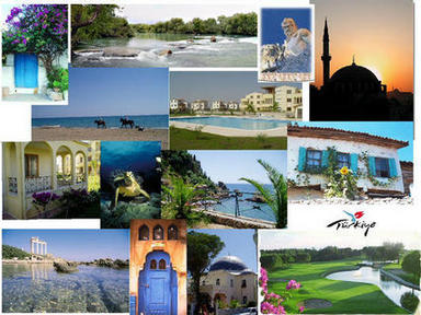 40 Rose Garden Villas