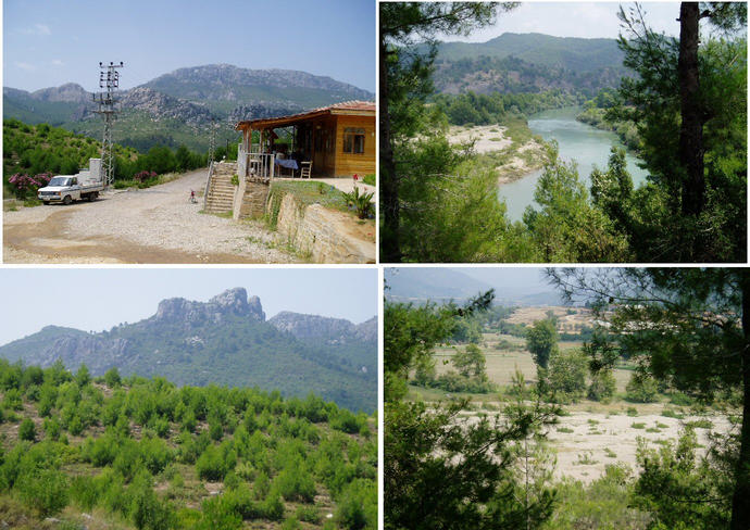 Zentisasi Hill Views