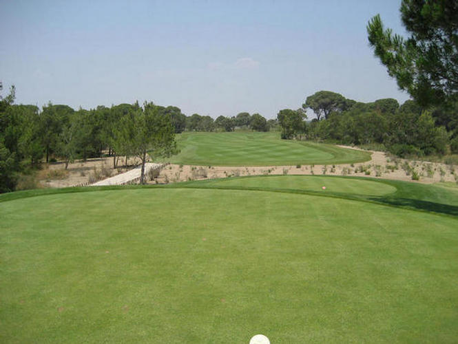 The Has Gulistan Invitational 2007