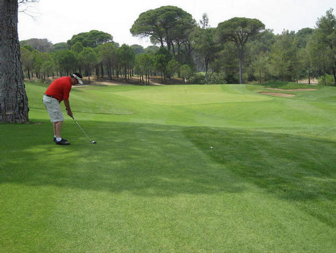 The Has Gulistan Invitational 2007
