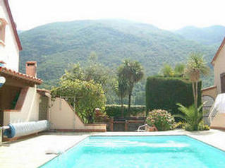 View From The Pool