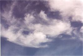 stephanie'sclouds05