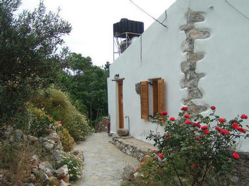 Windmill View