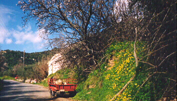 Road out of village