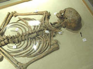 Jorvik Centre - skeleton