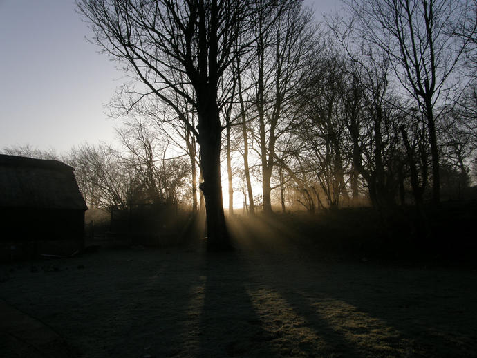 Nice scenery too. Early morning sun spraying through the frosty February mist