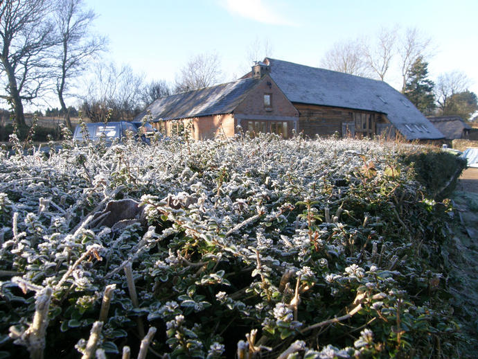 One more frosty morning