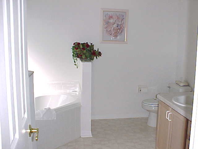 MASTER BATHROOM  W/DOUBLE SINKS  (SEE UNIQUE GARDEN TUB)......ALSO HAS SHOWER