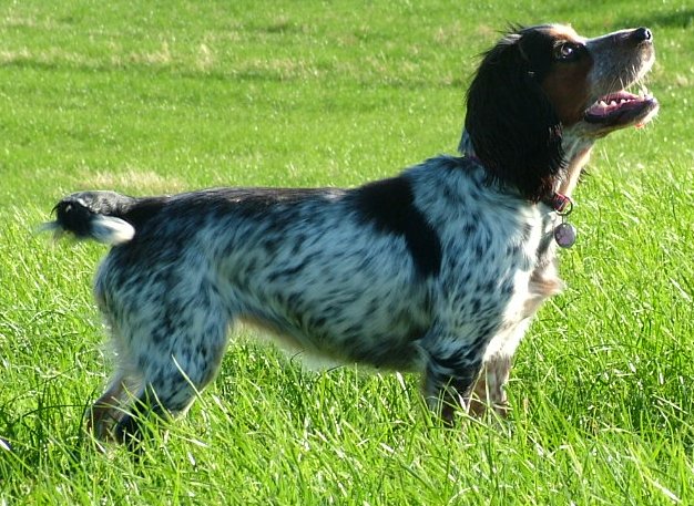 Teal at 16 months old