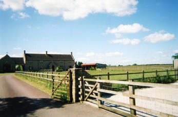 Kingfisher Equestrian
