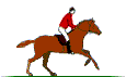 Cross Country Course