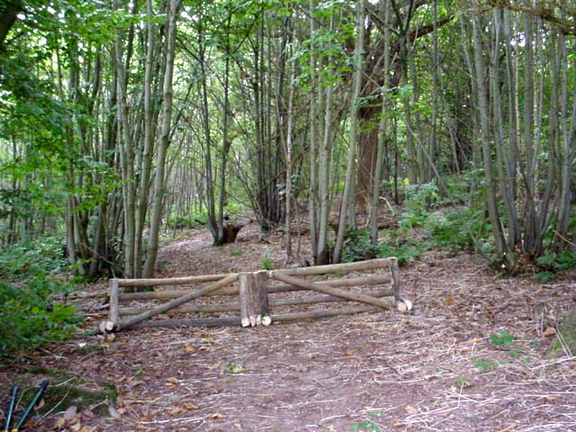cross country jump