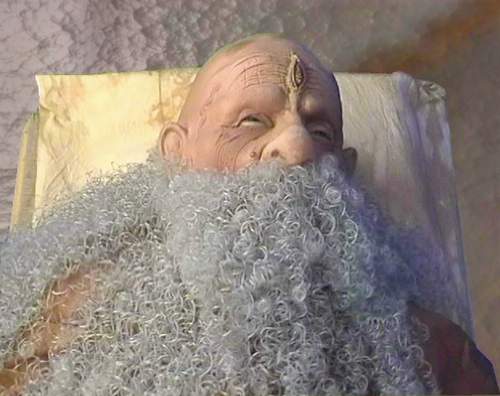 The Old Wise One Is About To Die