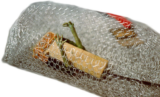 A wire frame that surrounded the mechanism pic