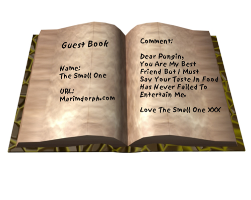 Pic Of Guest Book