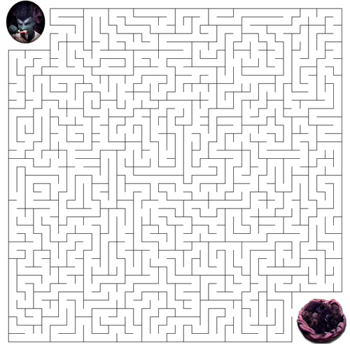 Maze