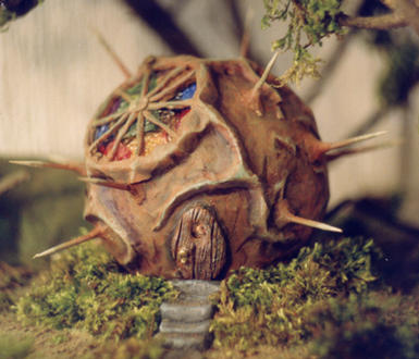 Wise One's House Model Tests