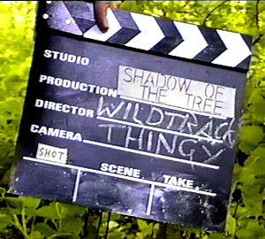Pic Of  A Clapper board With Wild Track Thingy Written On