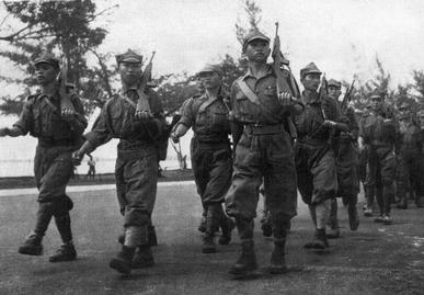 Chinese Troops