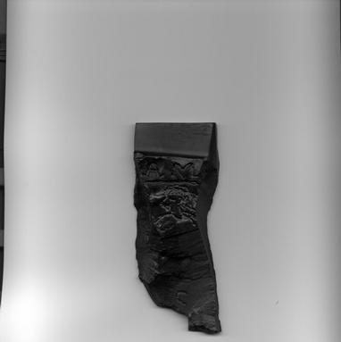 Cannel Coal