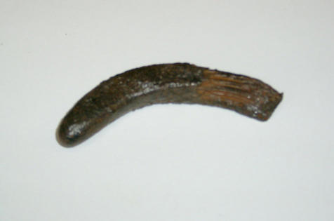 End of Raddle or stiring rod, (melted of in furnace)