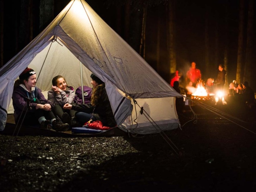 Cubs in tents